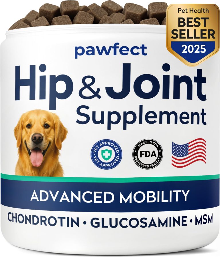 What is the Best Hip And Joint Supplement for Dogs