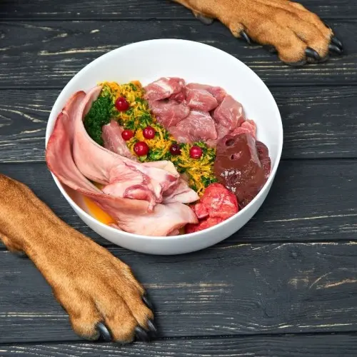 What is the Best Raw Diet for Dogs