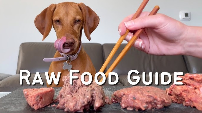 What is the Best Raw Food Diet for Dogs