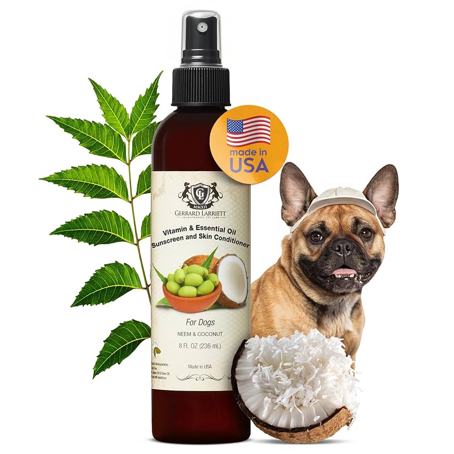 What Oils are Good for Dogs Skin