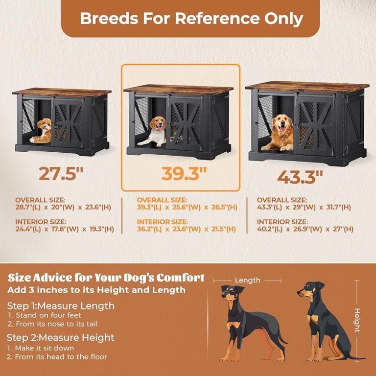 What Size Crate for 40 Pound Dog
