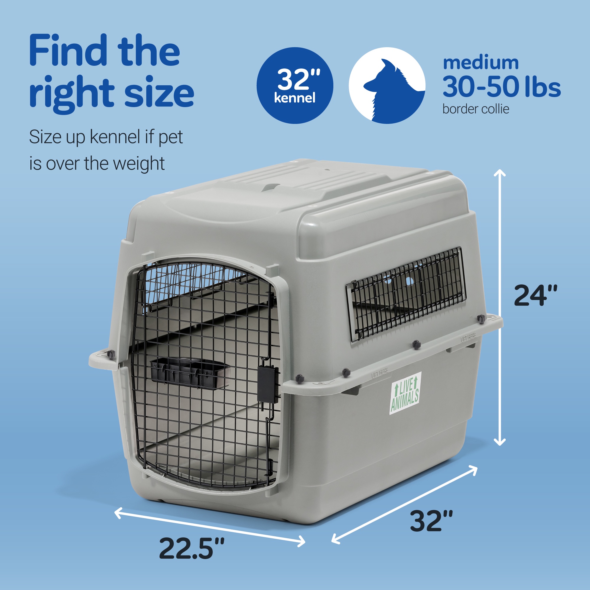 What Size Crate for 50 Lb Dog