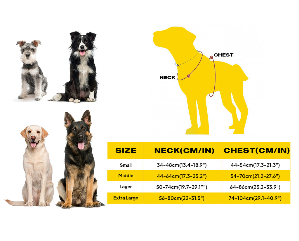 What Size Harness for My Dog: Find the Perfect Fit