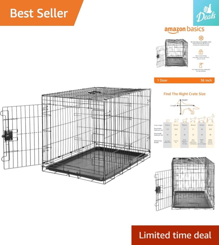 What Size is a Medium Dog Crate