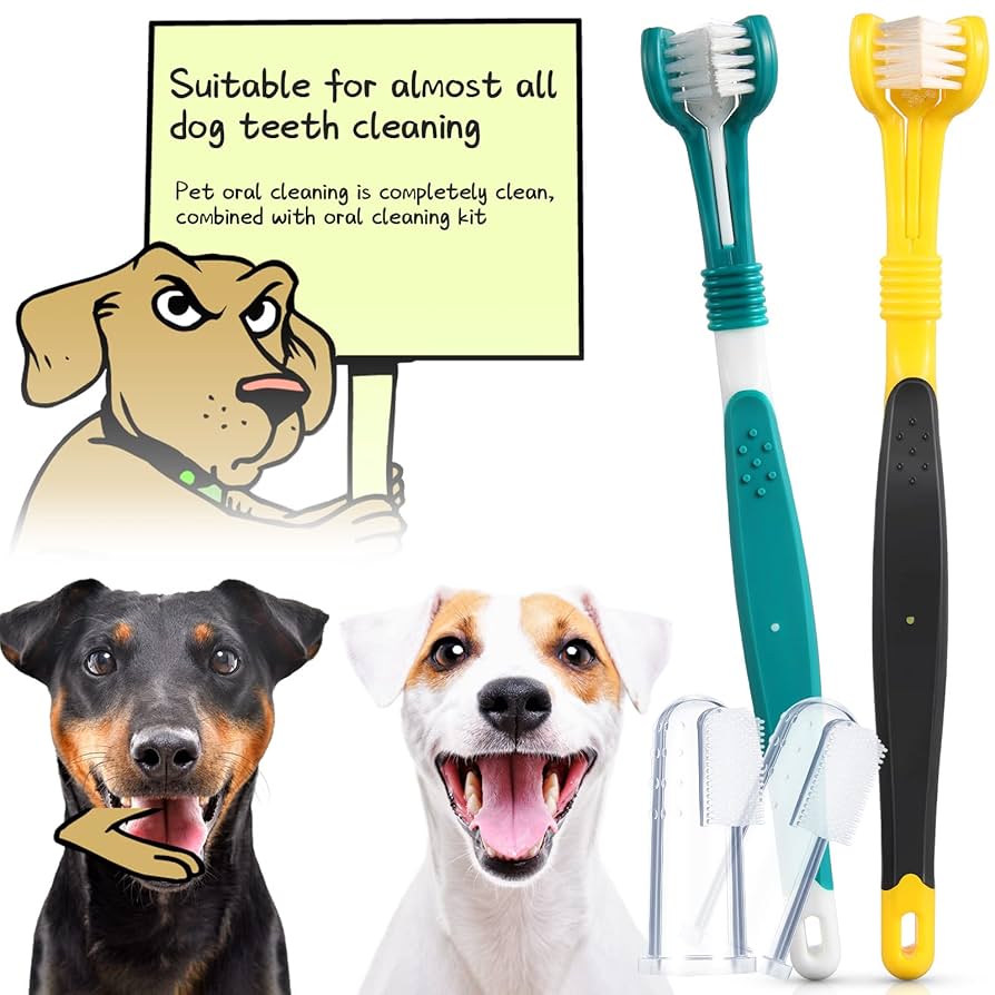 What to Brush a Dog'S Teeth With