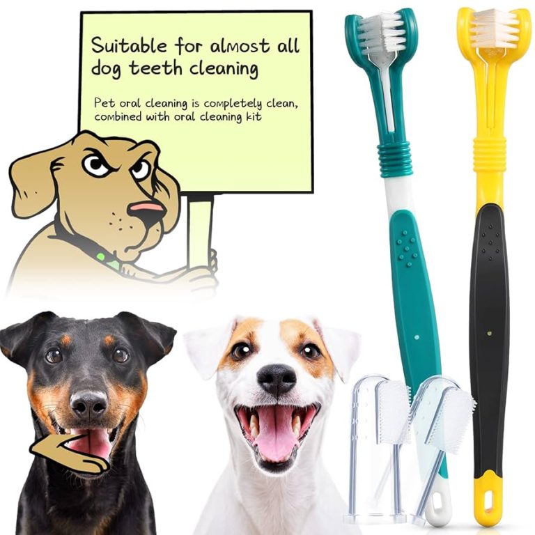 What to Use to Brush Dog Teeth