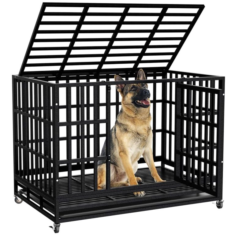 Where to Buy Dog Crates