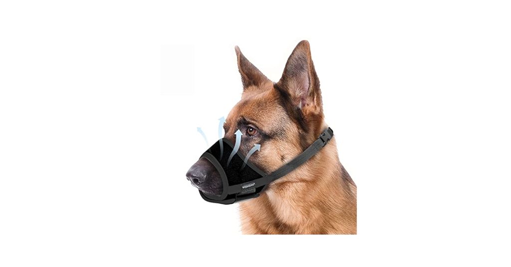 Where to Buy Dog Muzzles