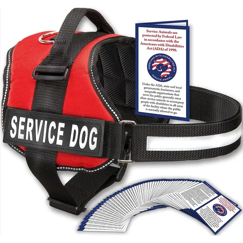 Where to Get a Service Dog Vest: Top Retailers Revealed