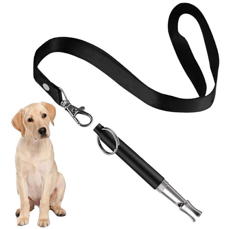 Will a Dog Whistle Stop Barking
