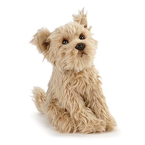 Winn Dixie Dog Breed