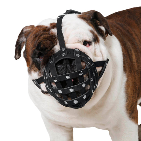 Would a Muzzle Stop a Dog Barking