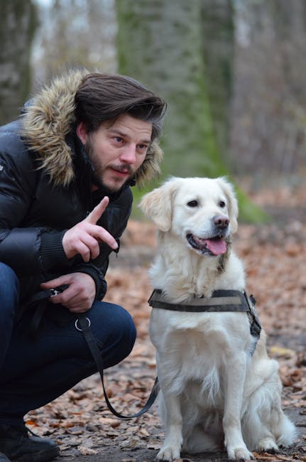 Are Harnesses Better Than Collars for Dogs: Unveiling Truth