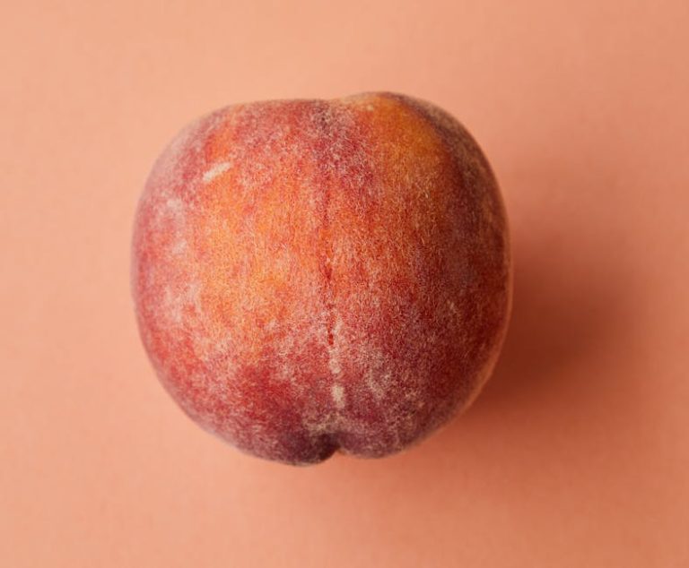 Can Dog Eat Peach Skin: Unveiling Safety Tips