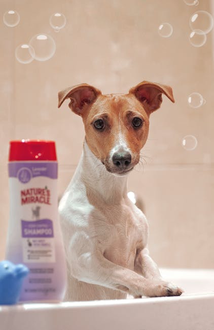 Can I Wash My Cat With Dog Shampoo: Safe or Risky?