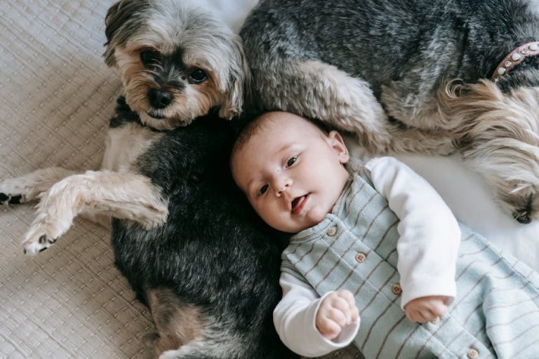 Can I Wash My Dog With Baby Shampoo: Safe or Risky?