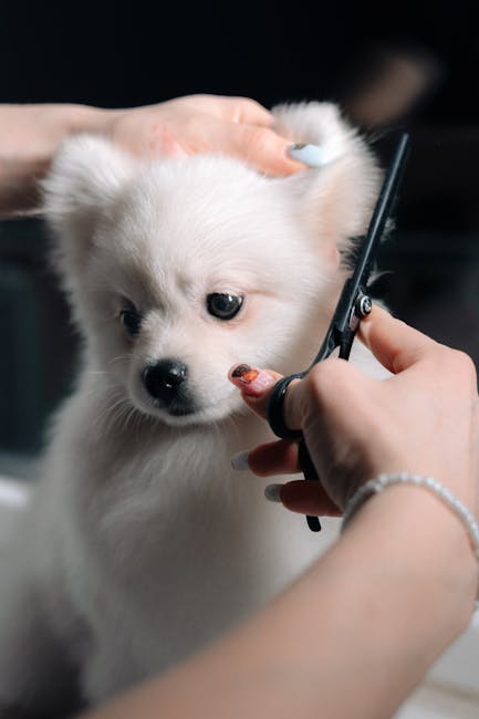 Does Petco Do Dog Grooming? Discover Their Services Now!