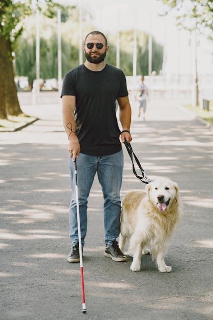 How Do You Fit a Dog Harness: Step-by-Step Guide