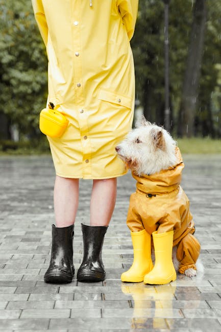 How Much is Dog Grooming School: Uncover Costs & Benefits
