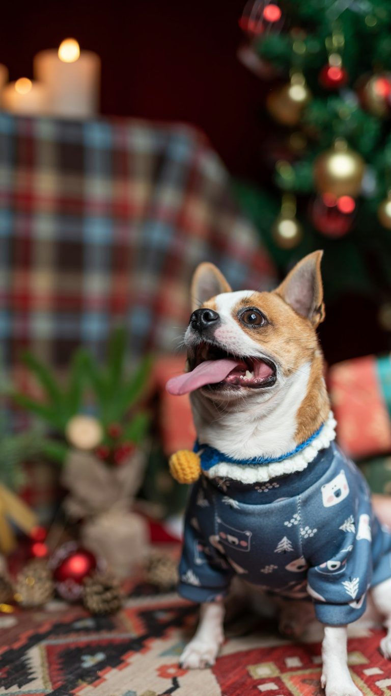 How the Grinch Stole Christmas Dog: Ultimate Guide