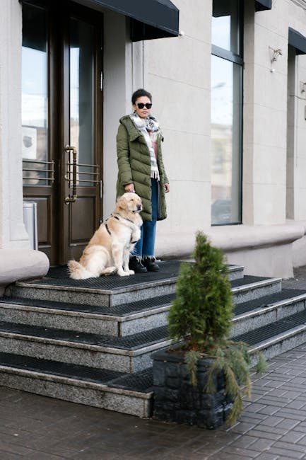 How to Adopt Dog: A Step-by-Step Guide