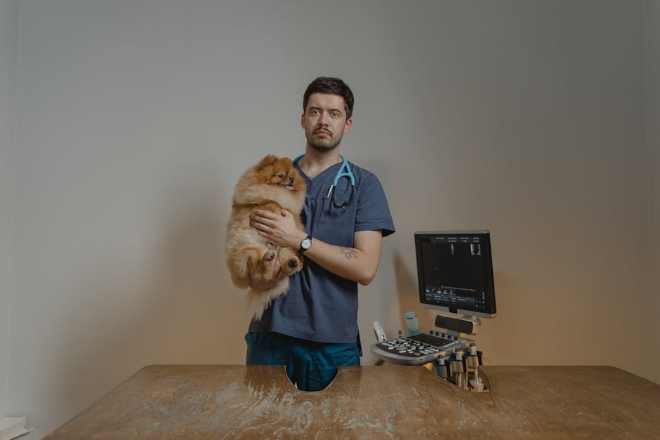 How to Correctly Put on a Dog Harness: Expert Tips
