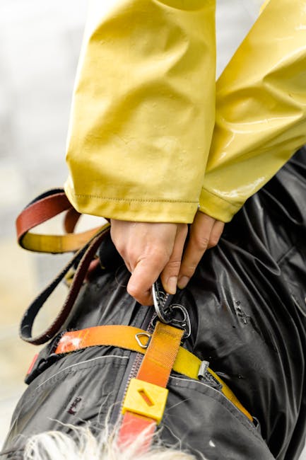 How to Put on a Dog Harness Correctly: Expert Tips
