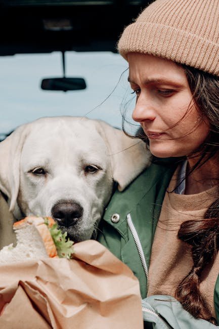 How to Start Dog Breeding: A Beginner’s Guide
