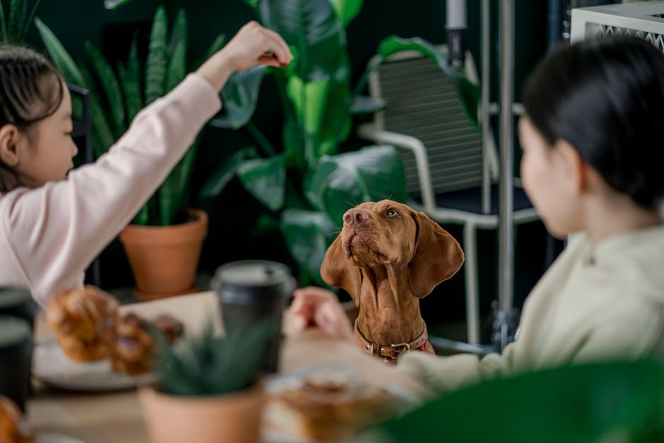 Is It Cruel to Feed a Dog Once a Day: Uncover the Truth