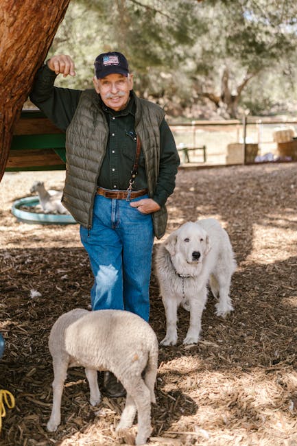 What Does a Blue Vest on a Dog Mean: Essential Insights