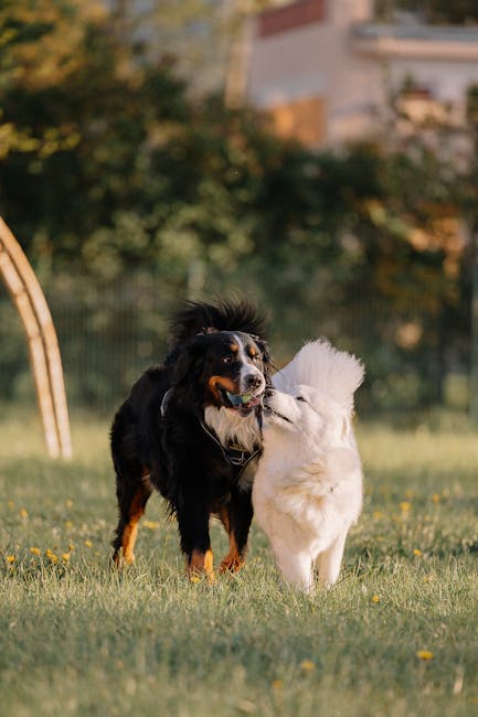 What Dogs are Selective Breeding: Unveiling the Secrets