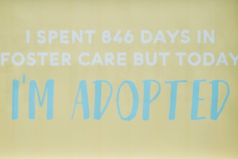 What is Foster to Adopt Dog: A Heartwarming Journey