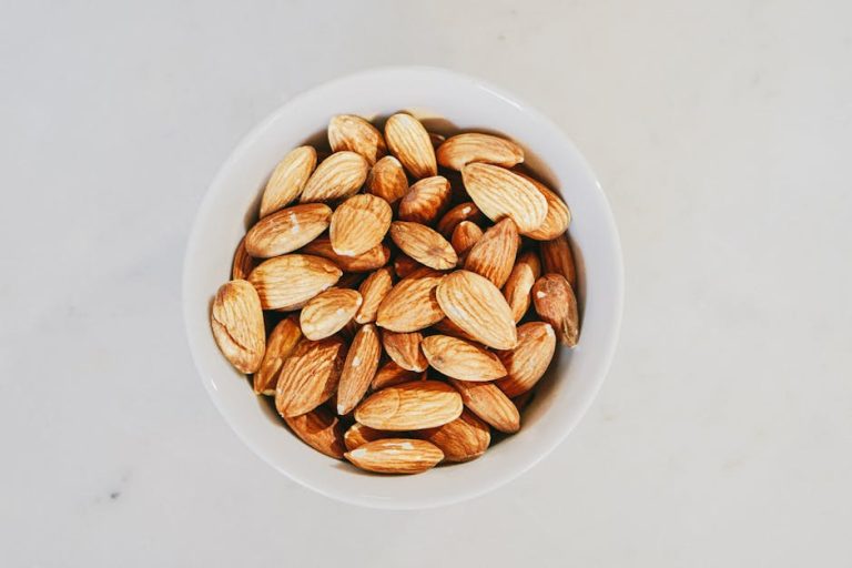Where Can I Buy Health Extension Dog Food: Top Sources