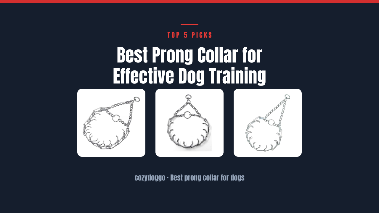 Best Prong Collar for Effective Dog Training