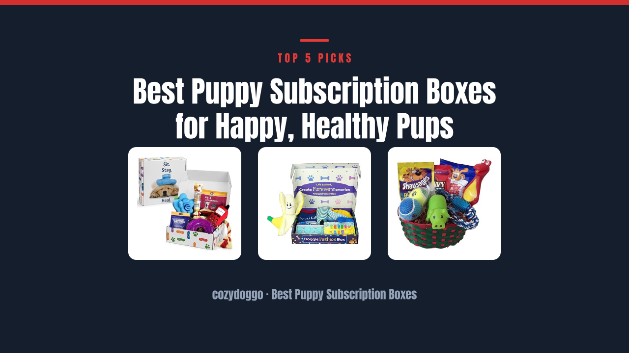 Best Puppy Subscription Boxes for Happy, Healthy Pups