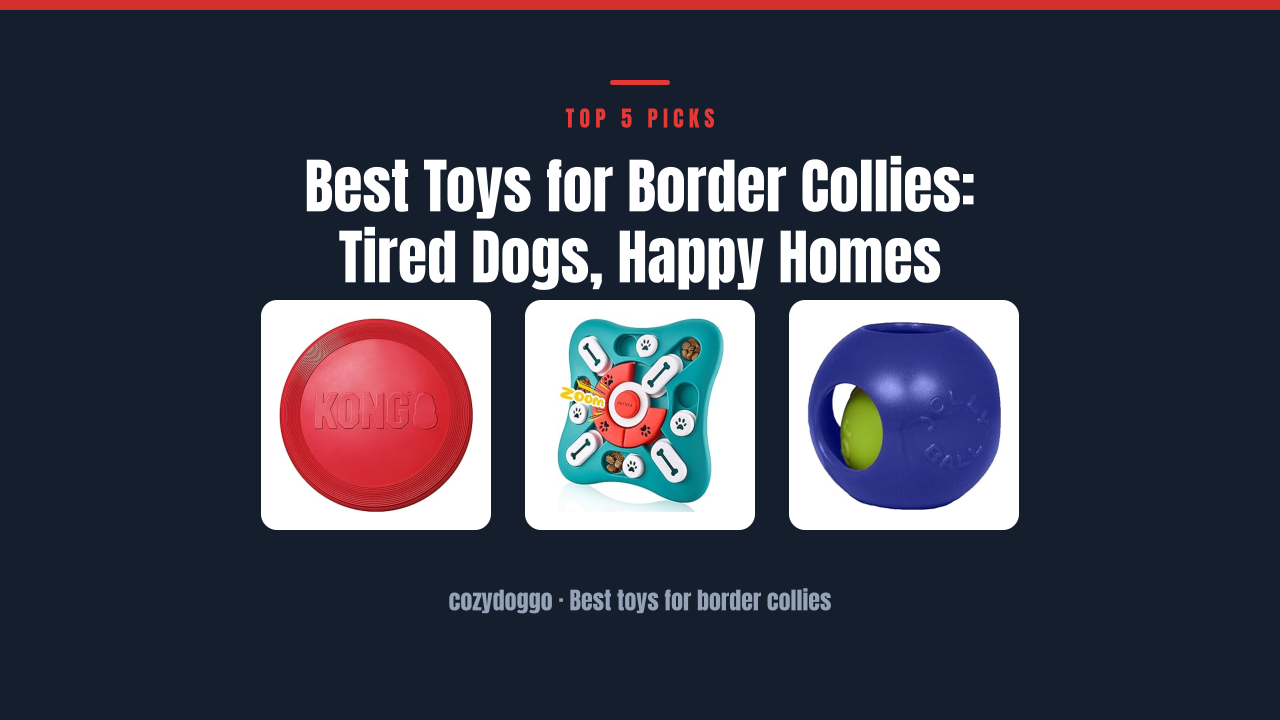 Best Toys for Border Collies: Tired Dogs, Happy Homes