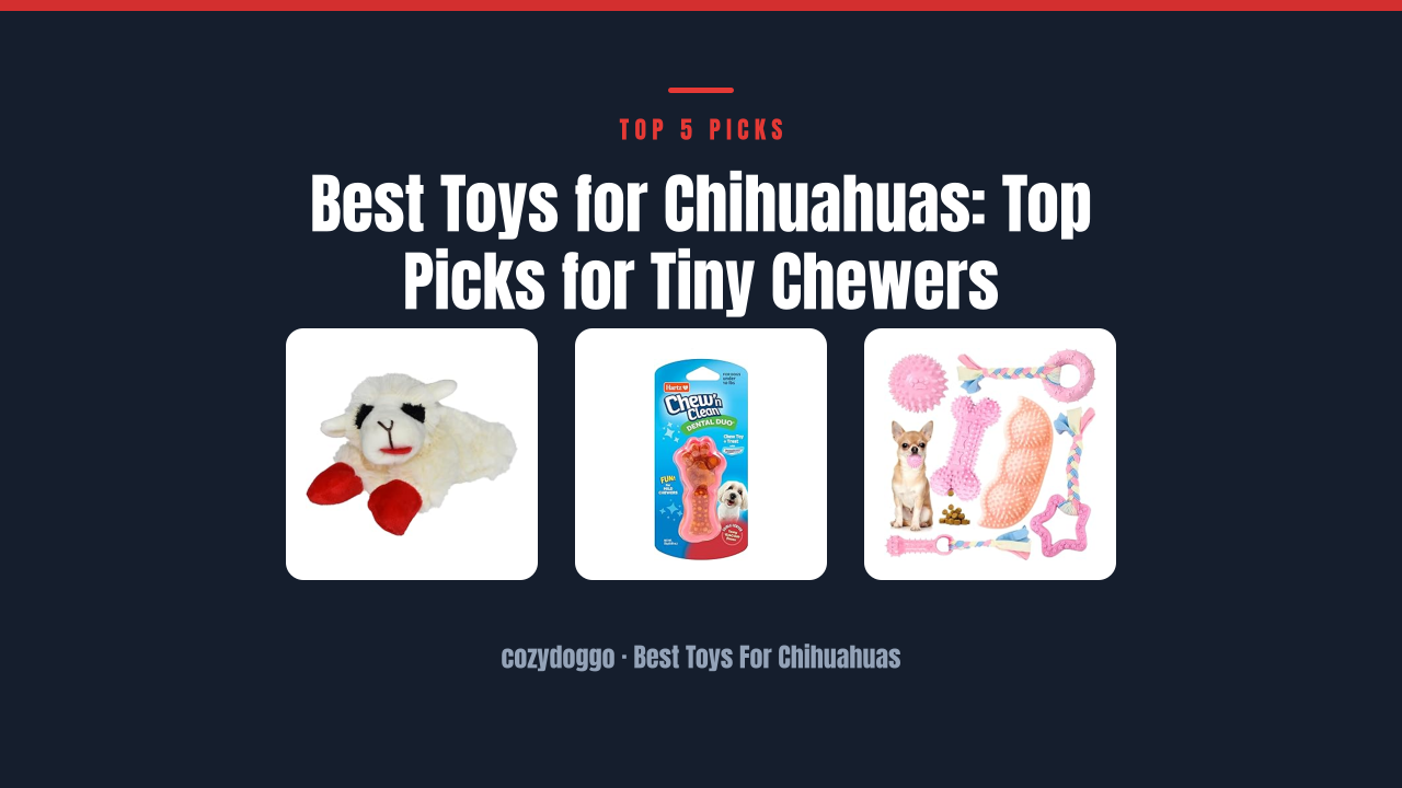 Best Toys for Chihuahuas: Top Picks for Tiny Chewers